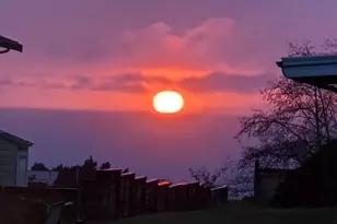 814 Paradise Ln, Brookings, OR 97415 - Photo 18