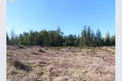 2906 357th St E, Eatonville, WA 98328 - Photo 4