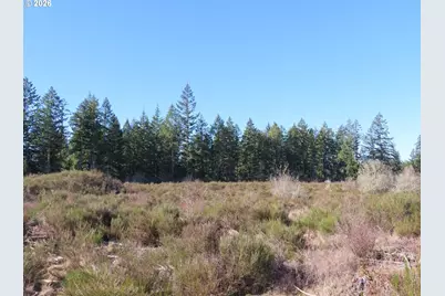 2906 357th St E, Eatonville, WA 98328 - Photo 18