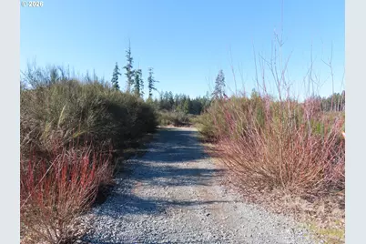 2906 357th St E, Eatonville, WA 98328 - Photo 16