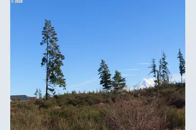 2906 357th St E, Eatonville, WA 98328 - Photo 20