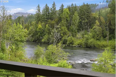 46151 Goodpasture Rd, Vida, OR 97488 - Photo 28