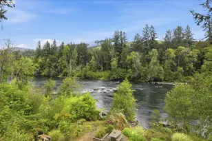 46151 Goodpasture Rd, Vida, OR 97488 - Photo 44
