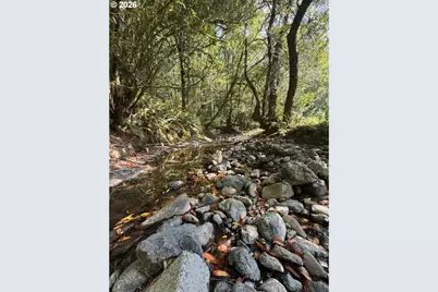 20191 Highway 42, Myrtle Point, OR 97458 - Photo 18