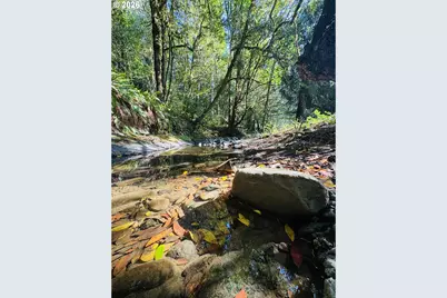20191 Highway 42, Myrtle Point, OR 97458 - Photo 20