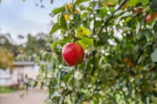 2398 Cole Rd, Salem, OR 97306 - Photo 36