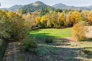 411 Woodland Dr, Winston, OR 97496 - Photo 42