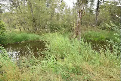 22515 NE Dole Valley Rd, Yacolt, WA 98675 - Photo 42