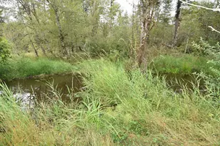 22515 NE Dole Valley Rd, Yacolt, WA 98675 - Photo 42