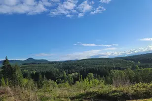 42255 Ames Creek Rd, Sweet Home, OR 97386 - Photo 10