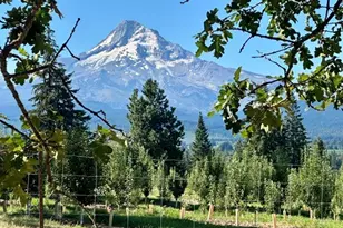 6125 Miller Rd, Mount Hood Prkdl, OR 97041 - Photo 40