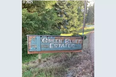 Lazy E Way Parcel 3, Creswell, OR 97426 - Photo 2