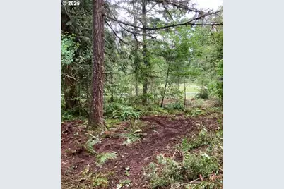 Lazy E Way Parcel 3, Creswell, OR 97426 - Photo 16