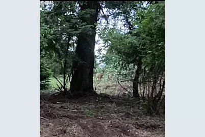 Lazy E Way Parcel 3, Creswell, OR 97426 - Photo 14