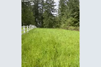 Lazy E Way Parcel 3, Creswell, OR 97426 - Photo 12