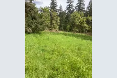 Lazy E Way Parcel 3, Creswell, OR 97426 - Photo 8