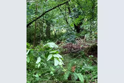 Lazy E Way Parcel 3, Creswell, OR 97426 - Photo 18