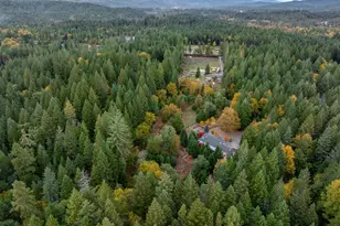 335 Cornett Ln, Cave Junction, OR 97523 - Photo 2