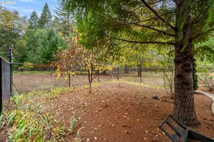 335 Cornett Ln, Cave Junction, OR 97523 - Photo 18