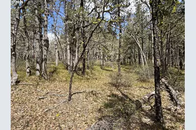 Wahkiacus Heights Rd, Wahkiacus, WA 98670 - Photo 6