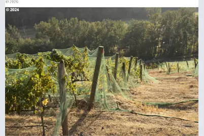 [Address not provided], Milton-Freewater, OR 97862 - Photo 26