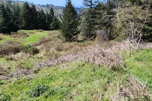96512 Martin Ranch Rd, Brookings, OR 97415 - Photo 32
