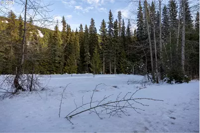 93732 E Highway 26, Government Camp, OR 97028 - Photo 24