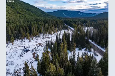 93732 E Highway 26, Government Camp, OR 97028 - Photo 4