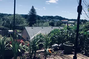 521 N Birch St, Coquille, OR 97423 - Photo 20