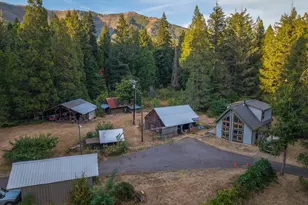 55533 McKenzie River Dr, Blue River, OR 97413 - Photo 18