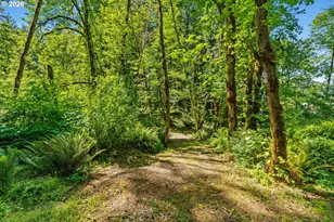 81482 Lost Creek Rd, Dexter, OR 97431 - Photo 12