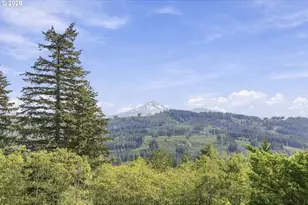 31013 NE 69th St, Camas, WA 98607 - Photo 44