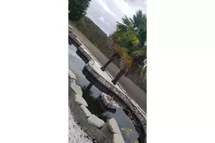 2984 NW Stacie Ct, Roseburg, OR 97471 - Photo 4