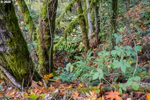 6000 River Rd S, Salem, OR 97302 - Photo 40