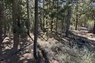 Crescent Moon Dr, Crescent Lake, OR 97733 - Photo 1