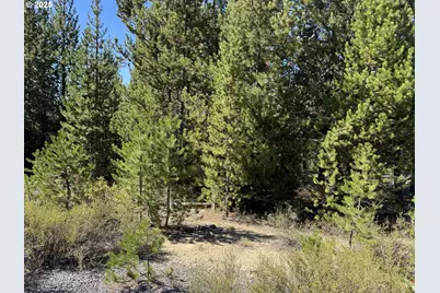 Crescent Moon Drive #30, Crescent Lake, OR 97733 - Photo 6