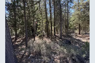 Crescent Moon Drive #30, Crescent Lake, OR 97733 - Photo 24