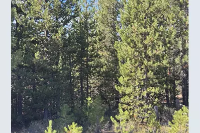 Crescent Moon Drive #30, Crescent Lake, OR 97733 - Photo 12