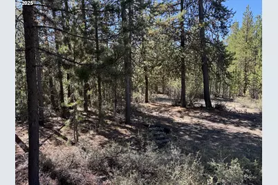 Crescent Moon Drive #30, Crescent Lake, OR 97733 - Photo 2