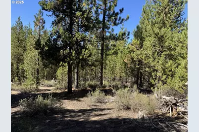 Crescent Moon Drive #30, Crescent Lake, OR 97733 - Photo 26