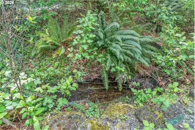21494 E Hideaway Ln, Rhododendron, OR 97049 - Photo 34