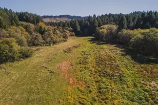 931 N S Low Rd, Seal Rock, OR 97376 - Photo 6