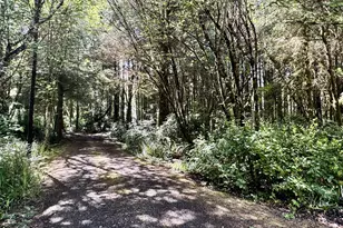4830 Darlings Loop, Florence, OR 97439 - Photo 48