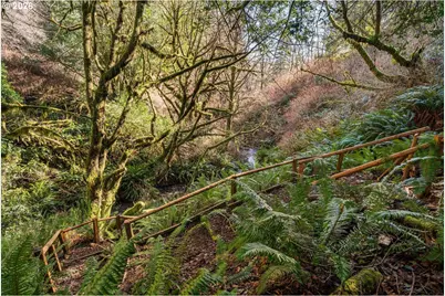 17285 Rustic Ln, Brookings, OR 97415 - Photo 30