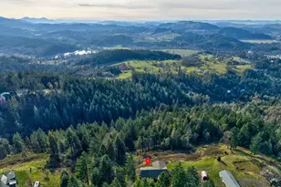 175 Doe Rd, Glide, OR 97443 - Photo 8