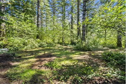 374 Baker Rd, Ariel, WA 98603 - Photo 8