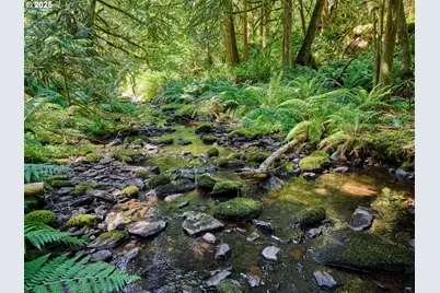 32553 S Dhooghe Rd, Molalla, OR 97038 - Photo 36