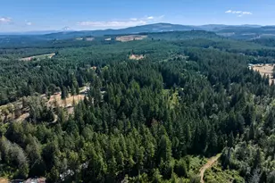 32553 S Dhooghe Rd, Molalla, OR 97038 - Photo 42