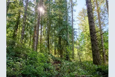 32553 S Dhooghe Rd, Molalla, OR 97038 - Photo 34