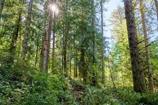 32553 S Dhooghe Rd, Molalla, OR 97038 - Photo 34